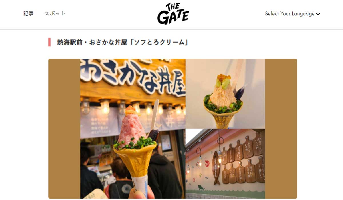 「THE GATE」でご紹介いただきました